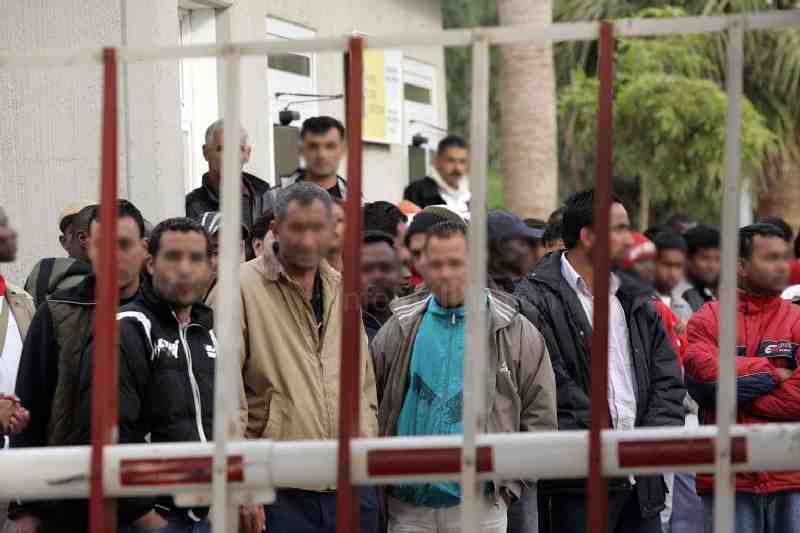 El CETI registrará entre 40 y 50 salidas en el transcurso de esta semana