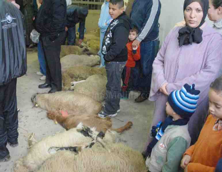 Más de 35.000 melillenses celebran la Fiesta Grande del Ait El Kebir