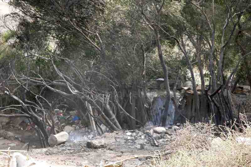 La Policía investigará el incendio de las chabolas de inmigrantes de la Palma Santa