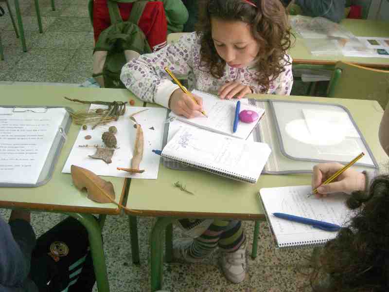 'Profundiza' lleva a los alumnos de Melilla a conocer las especies centenarias del Parque Hernández