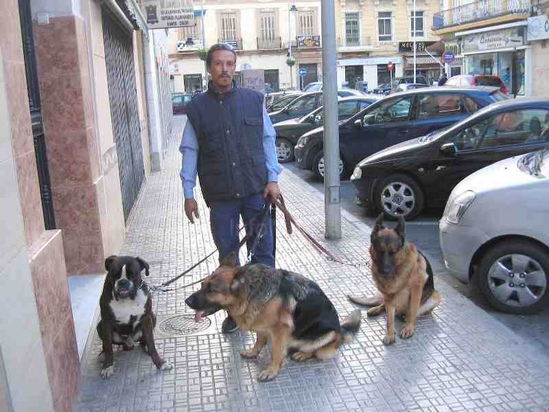 Rachid, el señor de los perros, no descansa en Navidad