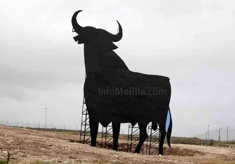 El único Toro de Osborne de África, bautizado con el nombre de Gurugú