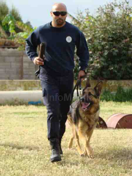 Doce agentes de Seguridad Ciudadana finalizan en curso sobre guías caninos