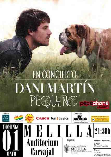 Concierto de Dani Martín en el Auditorium Carvajal