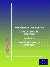 La Ciudad ya ha ejecutado el 35,29% de las acciones cofinanciadas por el Fondo Social Europeo