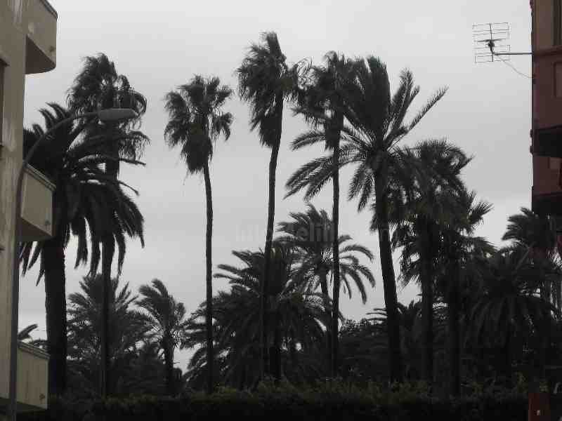 Melilla se ha levantado hoy con fuertes lluvias y viento