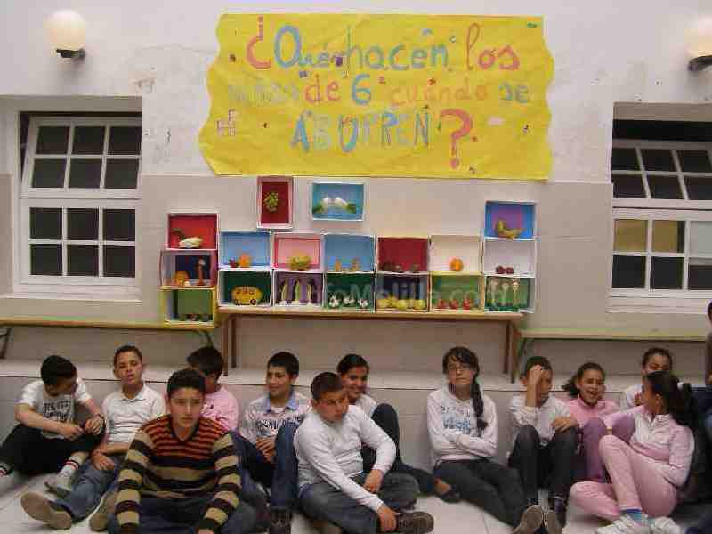 Un proyecto del CEIP Mediterráneo, finalista autonómico del Premio a la Acción Magistral