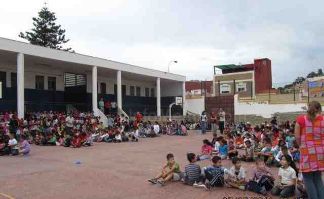 El CEIP Mediterráneo celebra un festival para clausurar el programa MUS-E