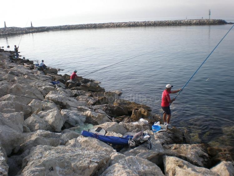 Este Campeonato entrrá denro de las actividades de "Melilla Náutica"