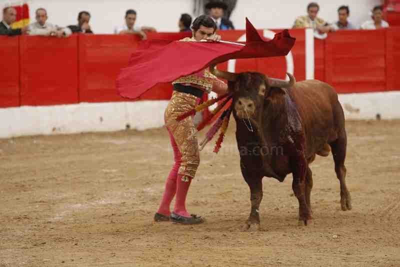 La gesta melillense de Enrique Ponce y Manolo Sánchez en fotos frente a un discutido ganado de Tornay