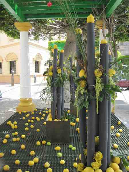 La primavera estalla con 'Melilla en flor'
