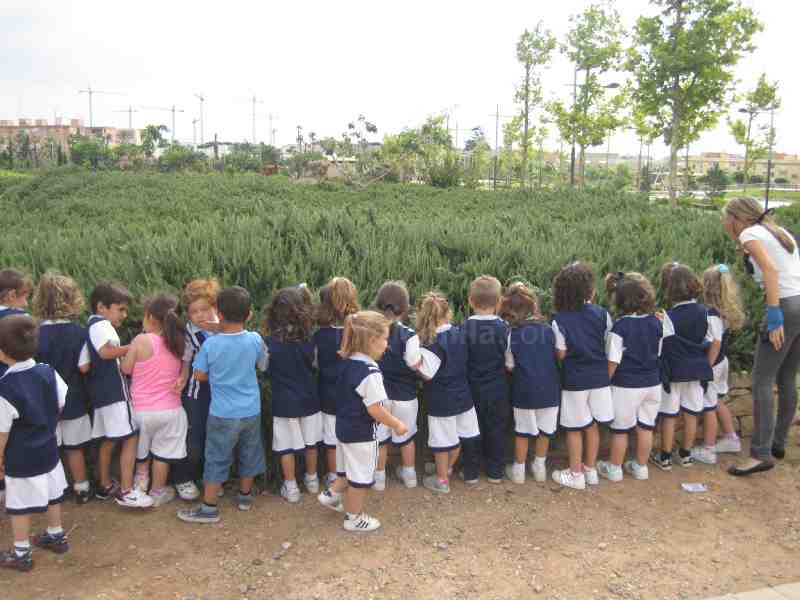 'Detectives ecológicos' escolares trabajan a fondo en el Parque Forestal Juan Carlos I
