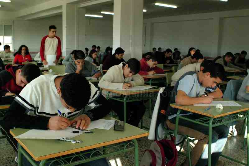 El Consejo Escolar del Estado da la razón a SATE sobre los problemas educativos en Melilla