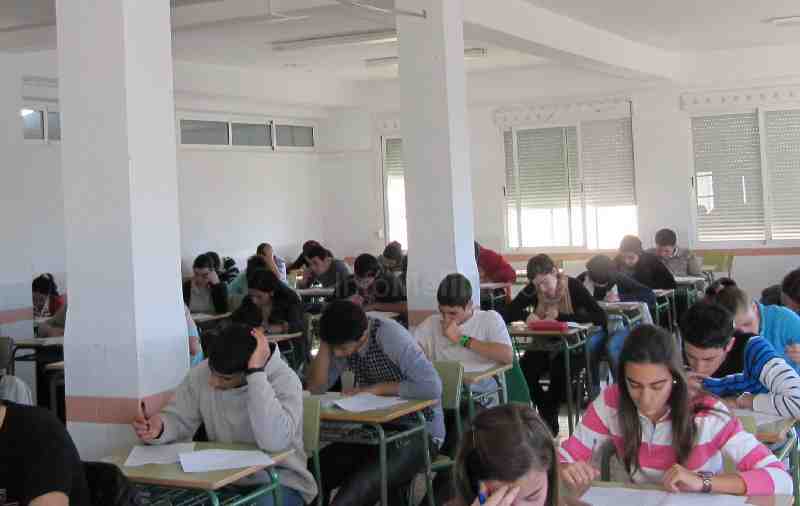Éxito de participación en la fase local de la Olimpiada de Biología