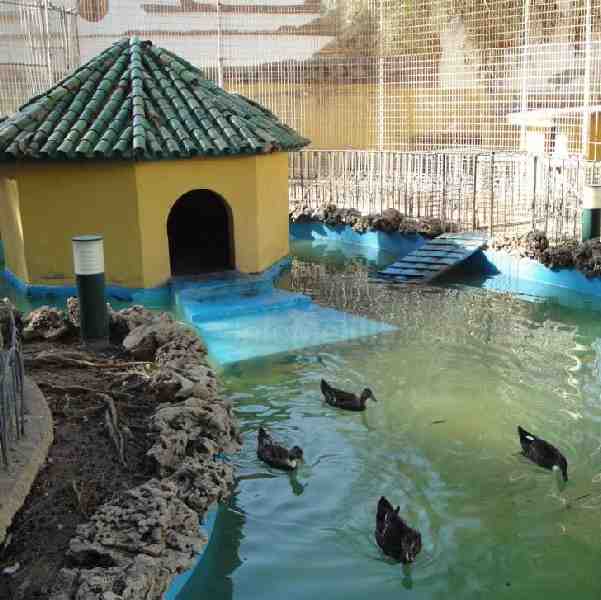 Pérez Calabuig espera iniciar las obras del Parque Lobera a lo largo del otoño