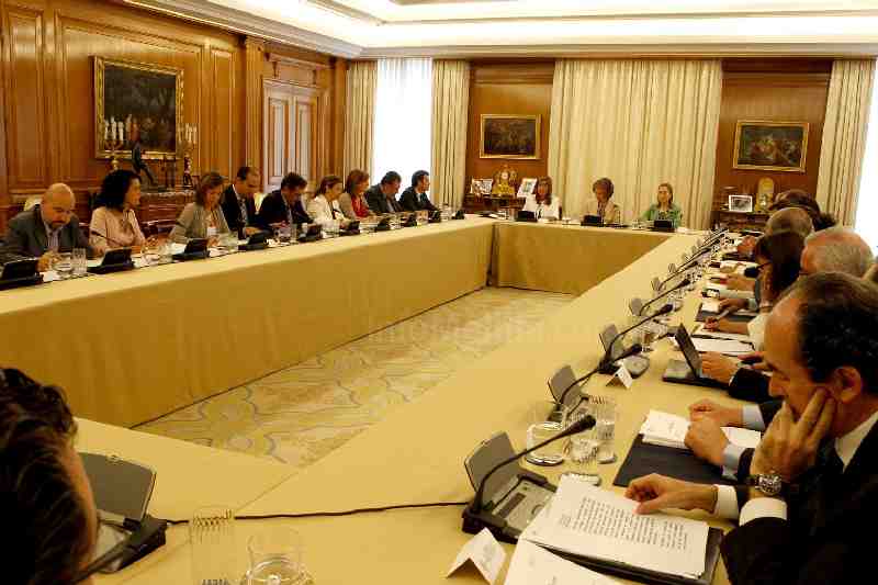 Garbín asiste en Madrid a la reunión del Consejo del Real Patronato sobre Discapacidad presidido por la Reina