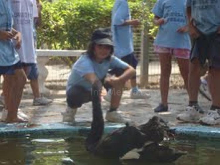 Todo preparado para que el lunes arranque la Escuela de Verano 2012