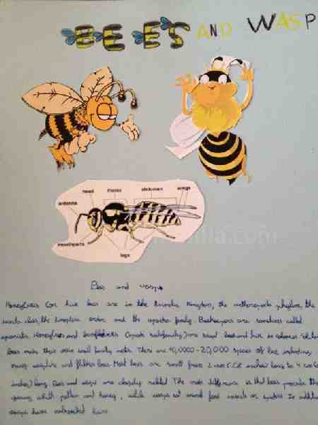 'Las abejas van a la escuela' en el Enrique Soler con bilingüismo e informática