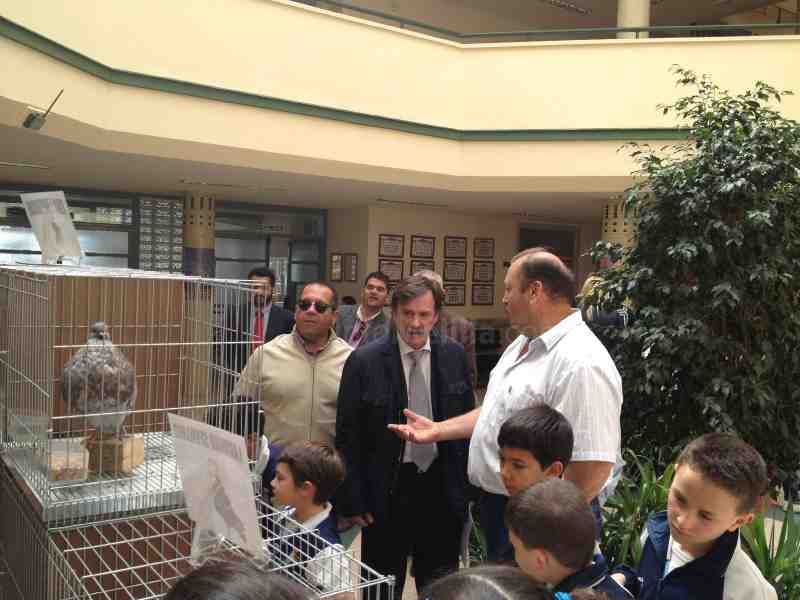 La III Semana Verde del 'Enrique Soler' emboca su fase final con un balance más que satisfactorio