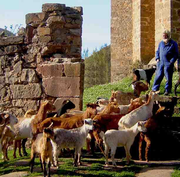 La Universidad de Granada convoca la segunda edición del curso “Trashumancia: conocimiento práctico de un patrimonio cultural”