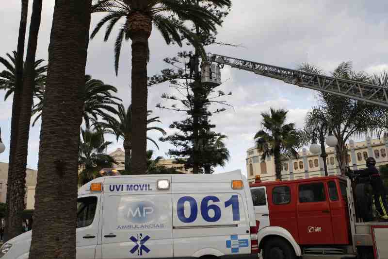 Un inmigrante se encarama a un árbol de la Plaza de España para pedir su traslado a la Península y protestar por el "mal trato" que recibe en el CETI