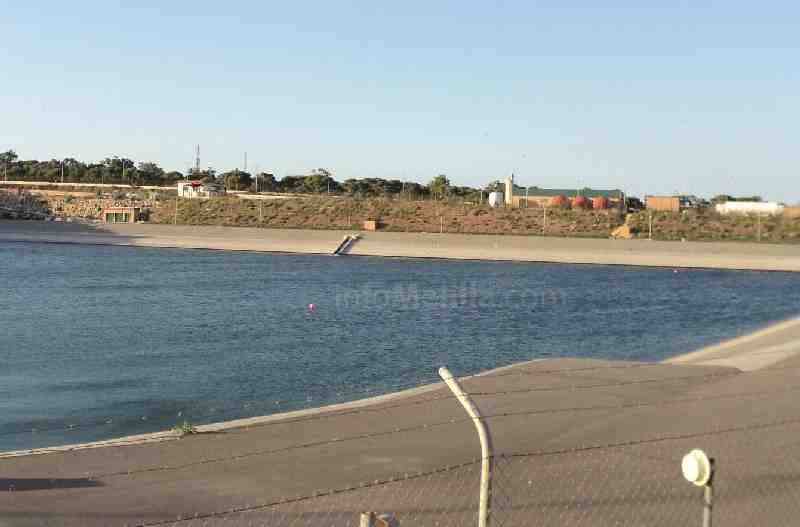 Pantano de las Adelfas.