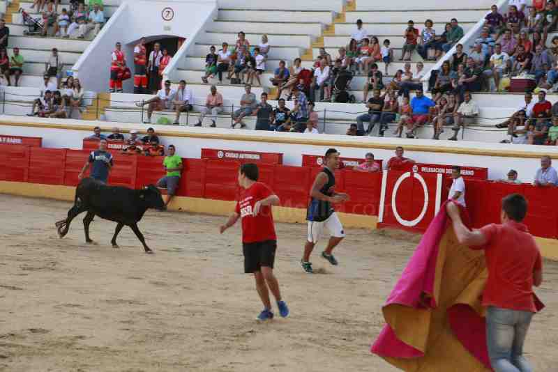 Éxito de la capea popular en 'La Mezquita del Toreo'