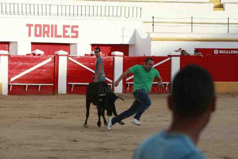 Éxito de la capea popular en 'La Mezquita del Toreo'