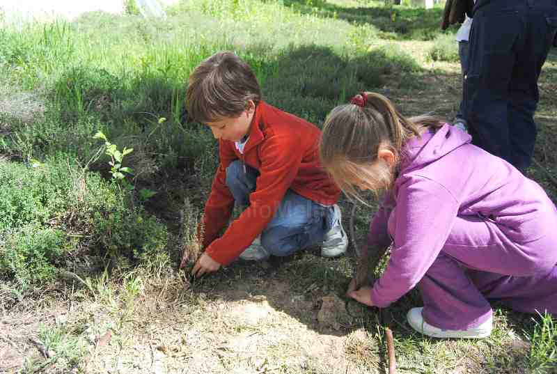 Un millar de alumnos del Enrique Soler participan en la campaña medioambiental 'Crece conmigo'