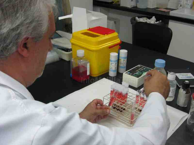 Crean un programa informático para calcular el riesgo de sufrir una enfermedad cardiovascular