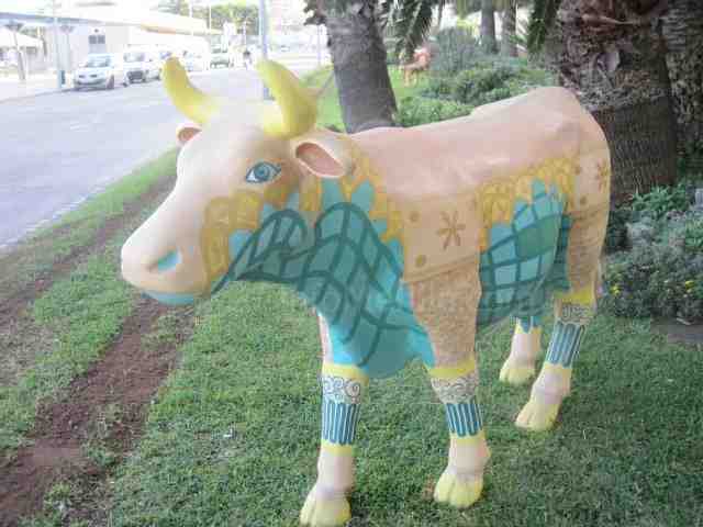 Las vacas del pueblo no se han escapado ni por Navidades