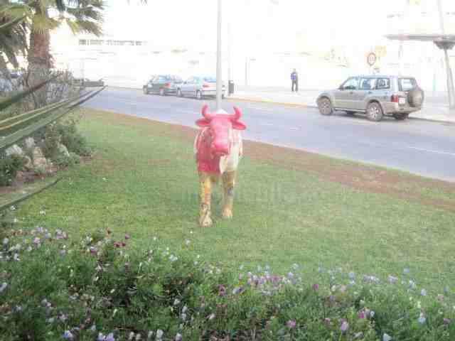 Las vacas del pueblo no se han escapado ni por Navidades