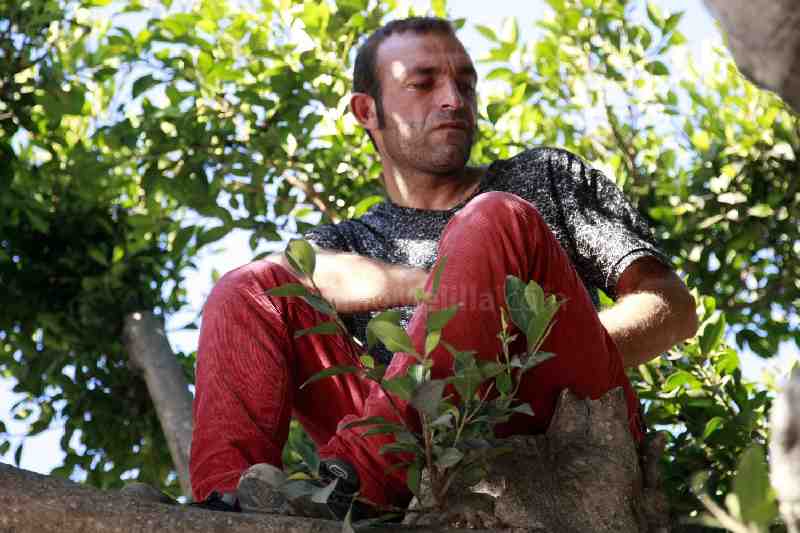 Un inmigrante sirio pide su traslado a la Península subiéndose a un árbol con un bote de gasolina