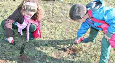 'Crece conmigo', el nuevo y ambicioso proyecto ecologista del Colegio Enrique Soler