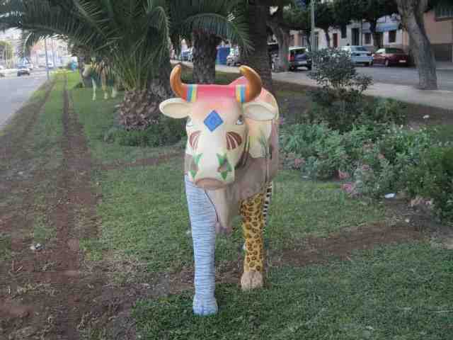 Las vacas del pueblo no se han escapado ni por Navidades