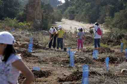 Guelaya continúa con la reforestación del arroyo de Sidi Guariach