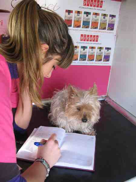 Coqueteo domiciliario no exento de cariño para las mascotas de la casa