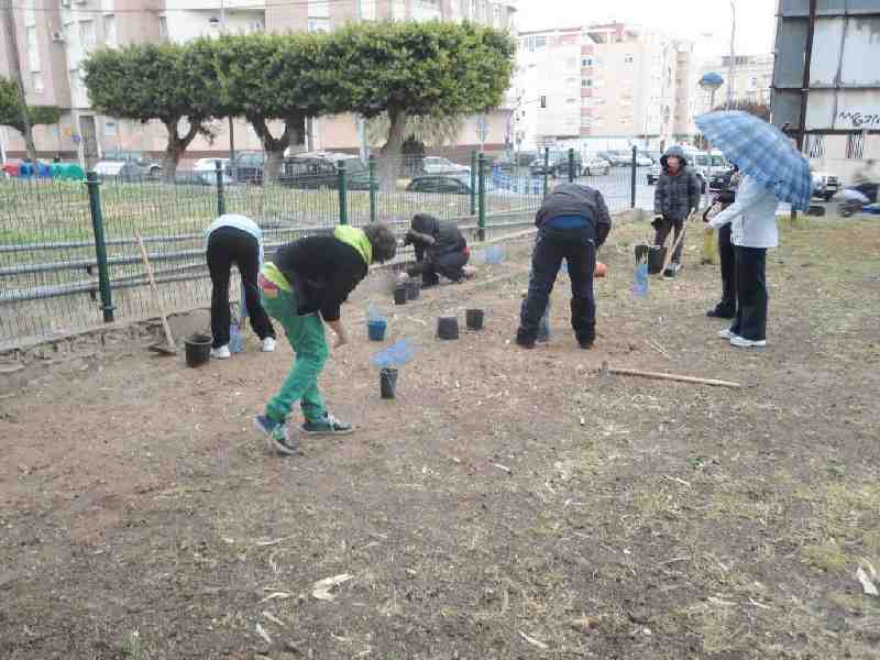 Guelaya y la Escuela de Padres y Madres del IES Jose Antonio Fernández continúan con la plantación de árboles autóctonos