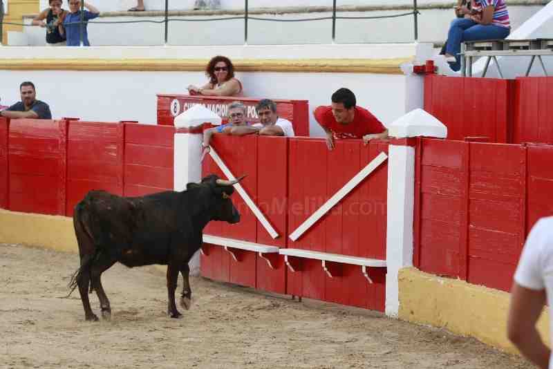 Éxito de la capea popular en 'La Mezquita del Toreo'