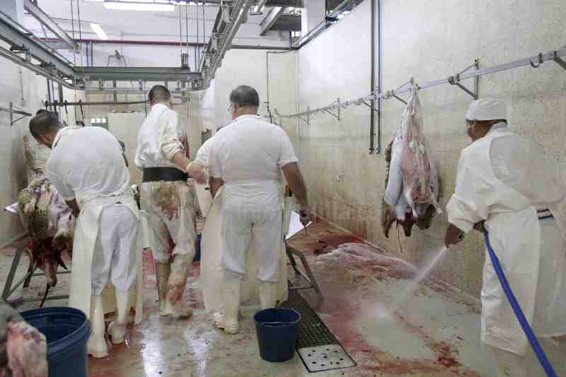 Tan sólo unos 70 borregos son sacrificados en el matadero municipal durante el Aid El Kebir