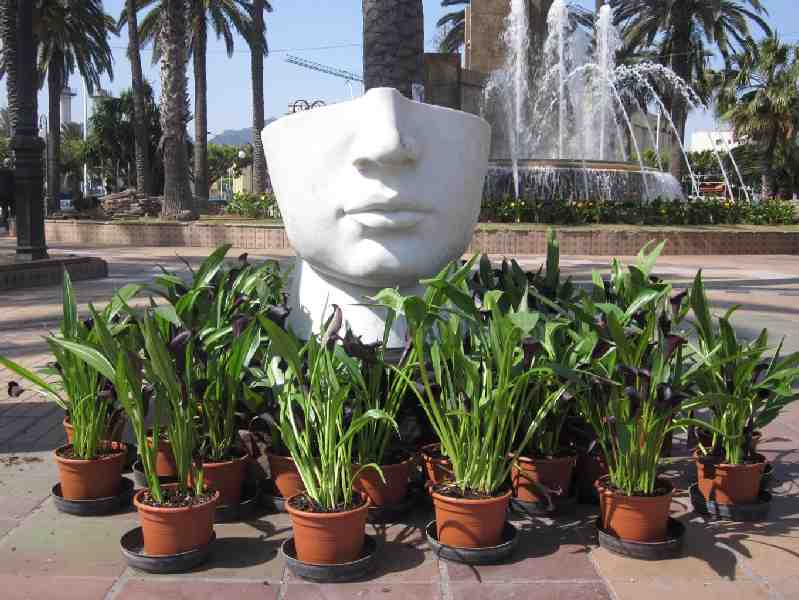 Melilla celebra la primavera con miles de flores y plantas que engalanan el centro
