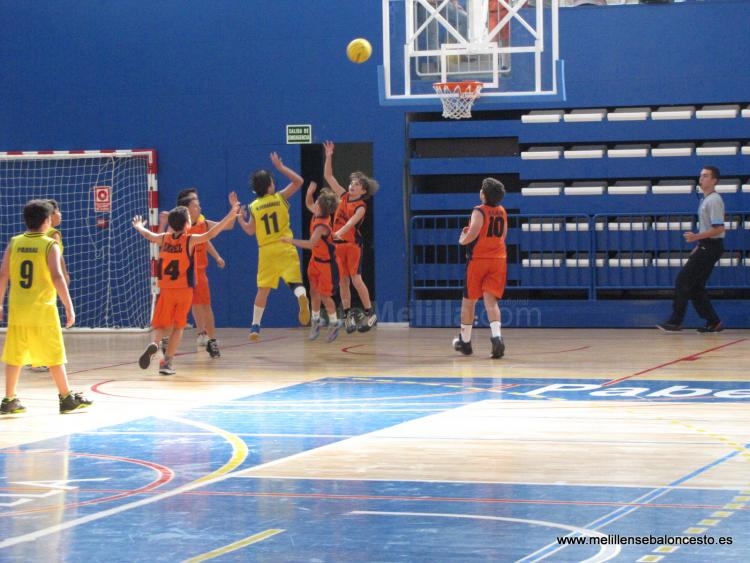 Baloncesto base: La Salle se impuso al Enrique Soler y en Peque basket el E. Soler al Club Marítimo