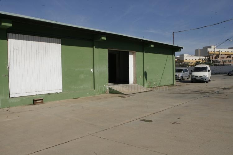 El matadero municipal vive una jornada de total tranquilidad a pesar de abrir sus puertas para el sacrificio de borregos