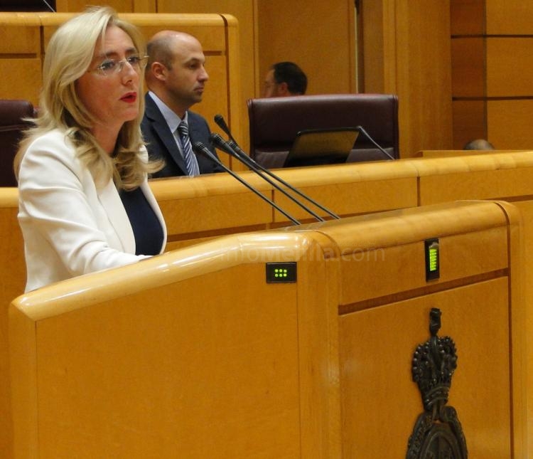 El Senado pide que se concrete la atención a niños víctimas violencia género