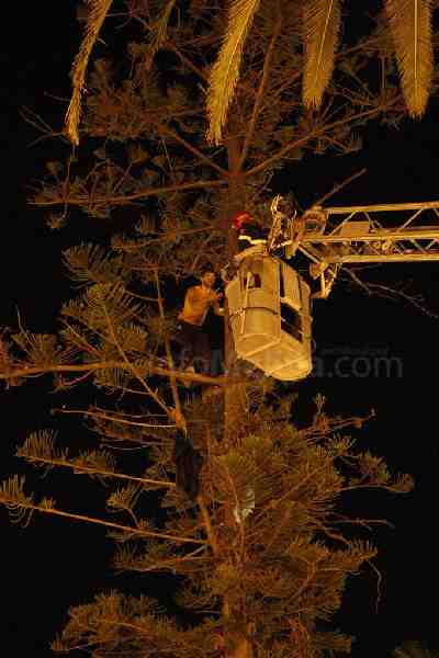 Un argelino se sube por segunda vez a un árbol de la Plaza de España para pedir su traslado a la Península