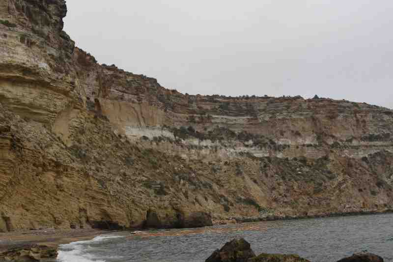 La Ciudad Autónoma reforzará control en la costa tras detectar "carabela portuguesa"