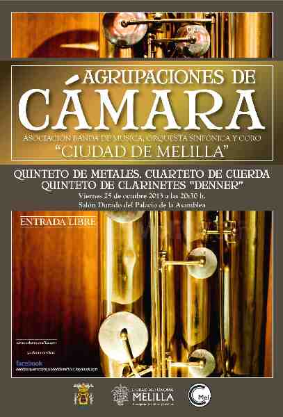Cartel anunciador del concierto