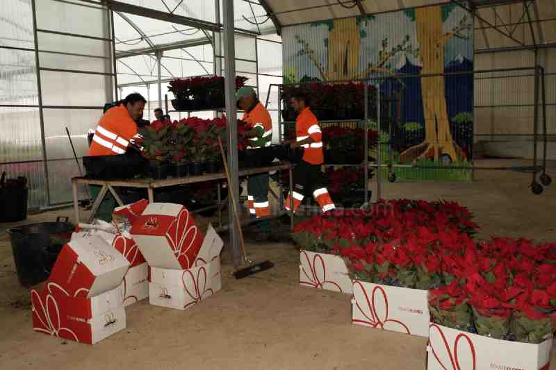 El Gobierno abrirá al público las puertas del vivero de plantas, en el que se quiere llevar a cabo una labor didáctica