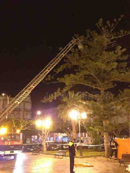 Un argelino vuelve a subirse a un árbol y termina saltando al colchón de los bomberos