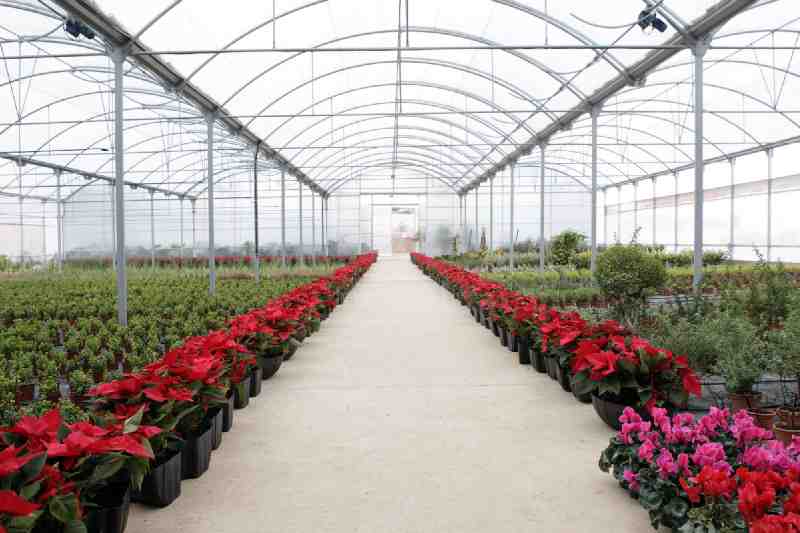 El Gobierno abrirá al público las puertas del vivero de plantas, en el que se quiere llevar a cabo una labor didáctica
